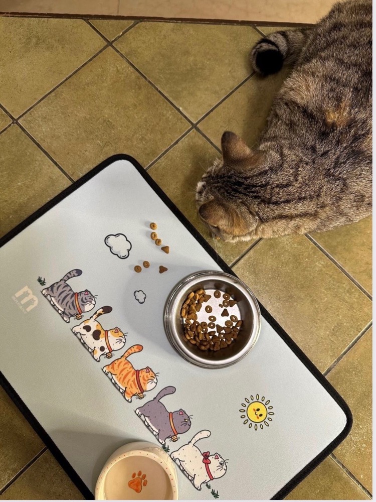 مت آب و غذا مخصوص پت طرح 5