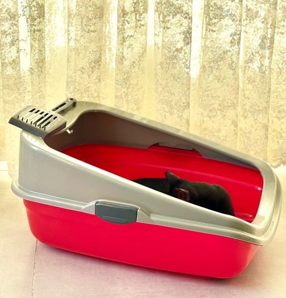 ظرف خاک گربه لبه دار هپی پت طرح مشا همراه بیلچه