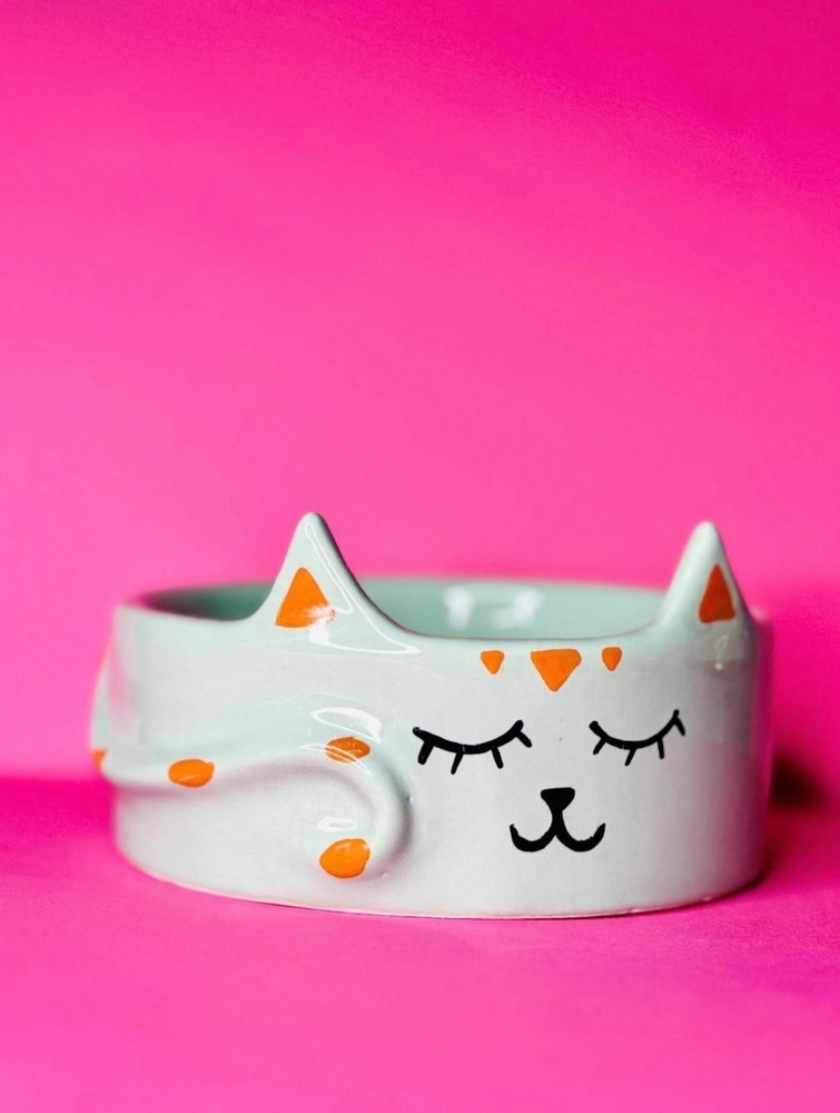 ظرف آب و غذا پت سبز