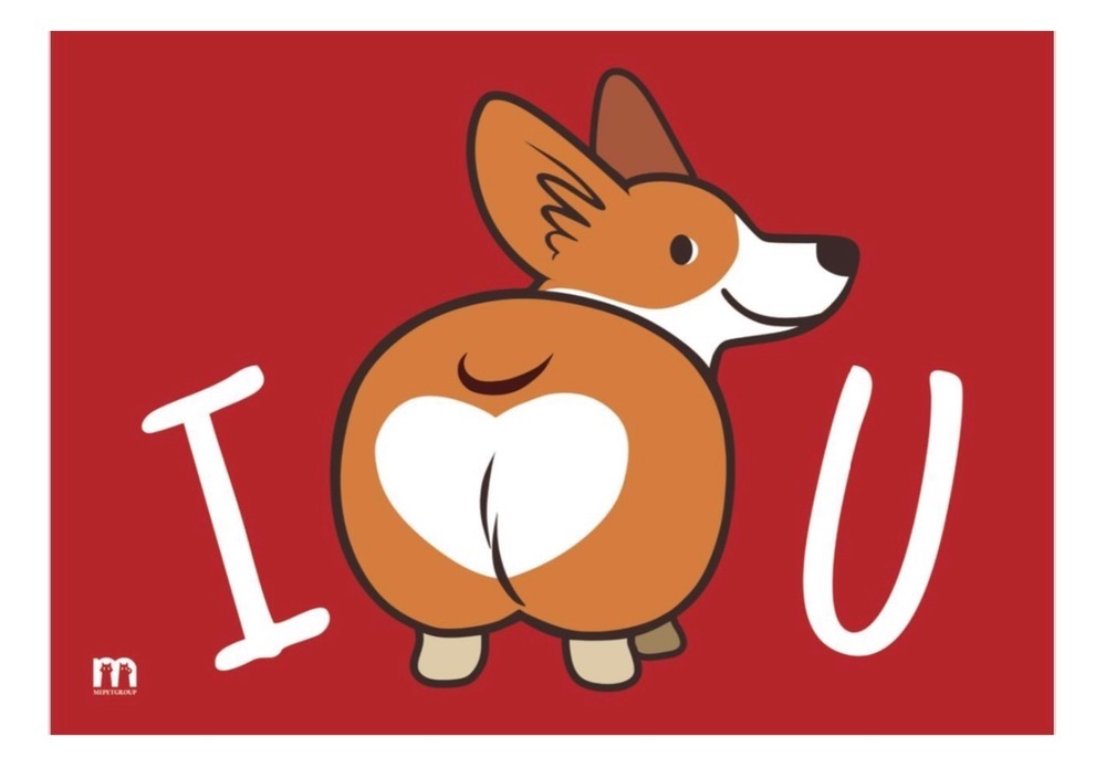 مت آب و غذا مخصوص پت طرح 6