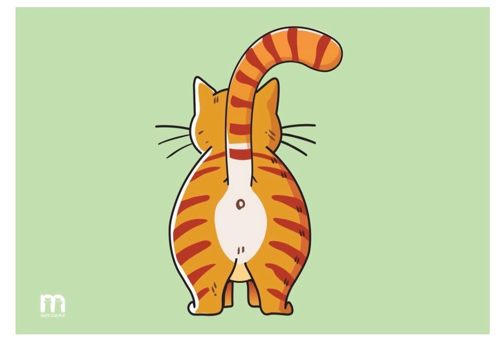 مت آب و غذا مخصوص پت طرح 7